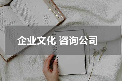 企业文化 咨询公司