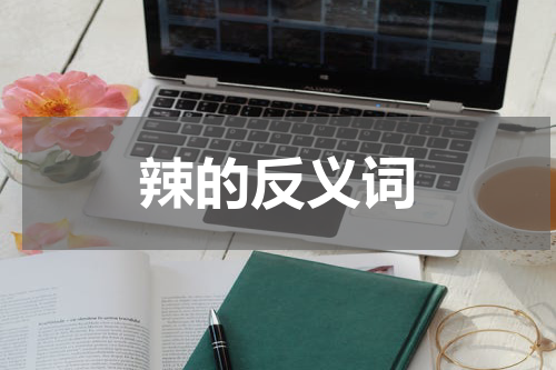 辣的反义词