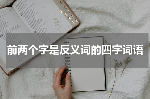 前两个字是反义词的四字词语
