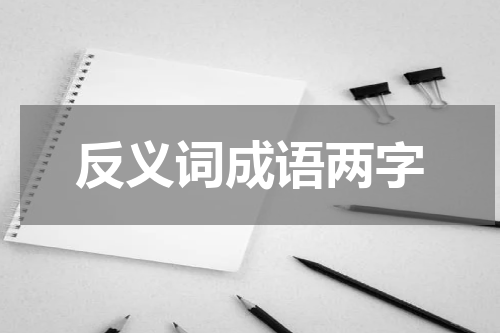 反义词成语两字