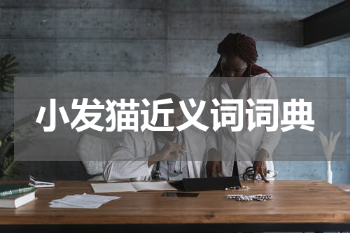 小发猫近义词词典