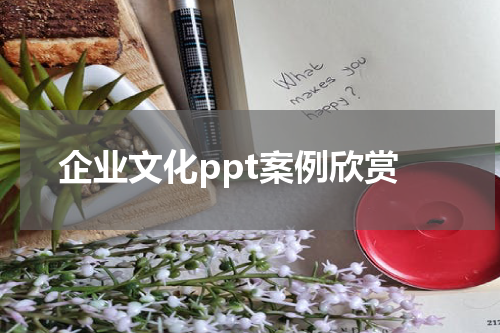 企业文化ppt案例欣赏