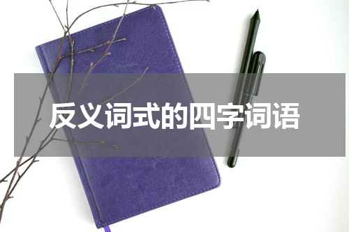 反义词式的四字词语