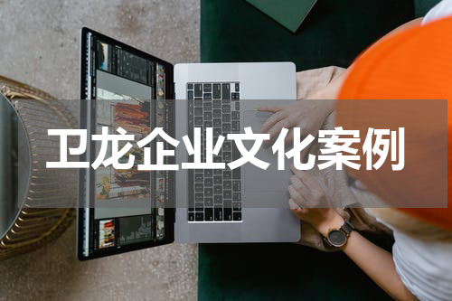 卫龙企业文化案例