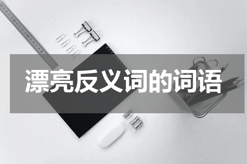 漂亮反义词的词语