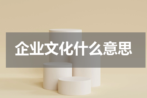 企业文化什么意思