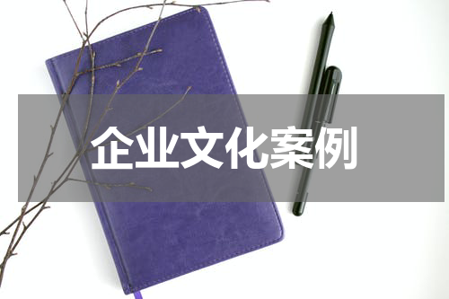企业文化案例