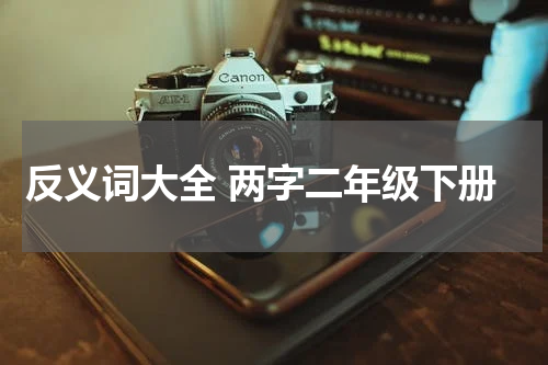 反义词大全 两字二年级下册