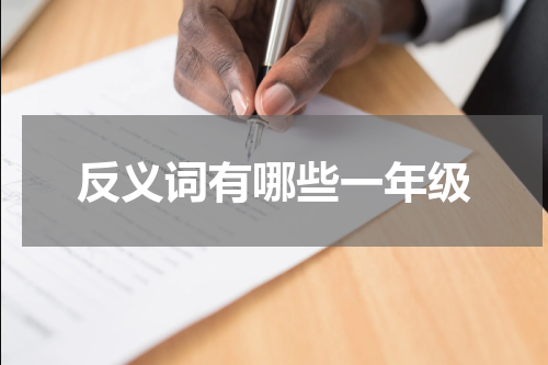 反义词有哪些一年级