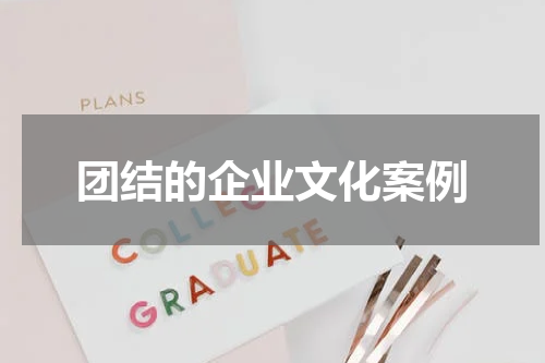 团结的企业文化案例
