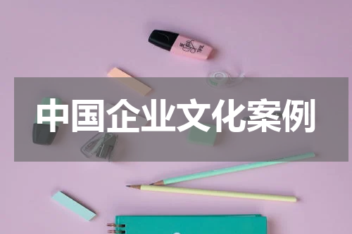 中国企业文化案例