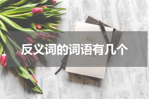 反义词的词语有几个
