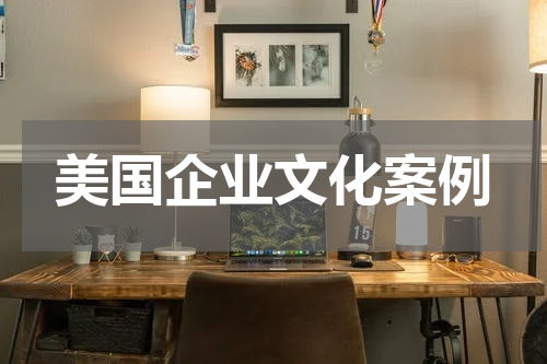 美国企业文化案例