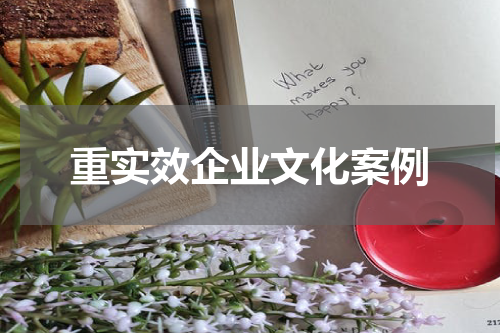 重实效企业文化案例