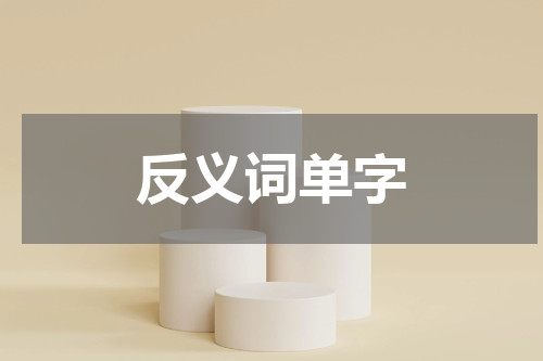 反义词单字