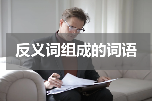 反义词组成的词语