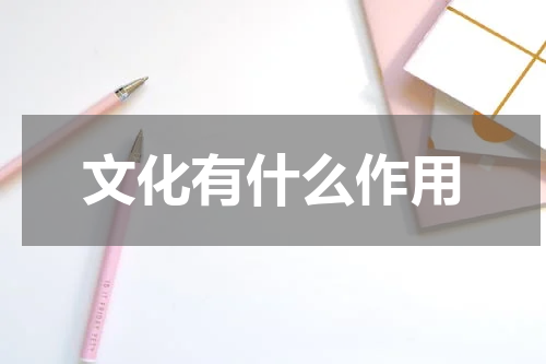 文化有什么作用
