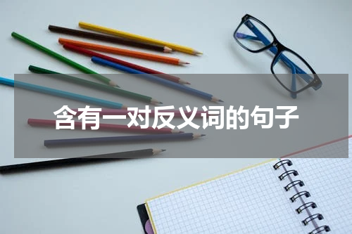 含有一对反义词的句子