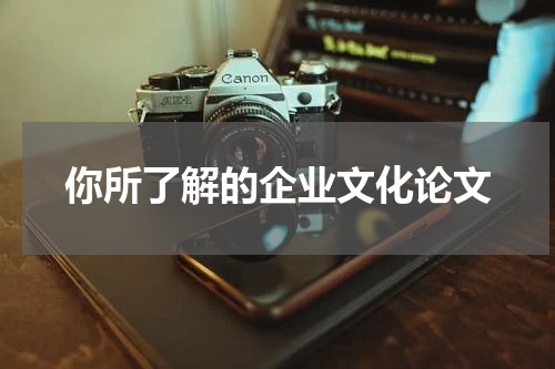你所了解的企业文化论文