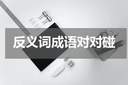 反义词成语对对碰