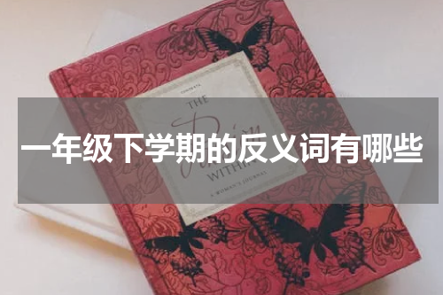 一年级下学期的反义词有哪些