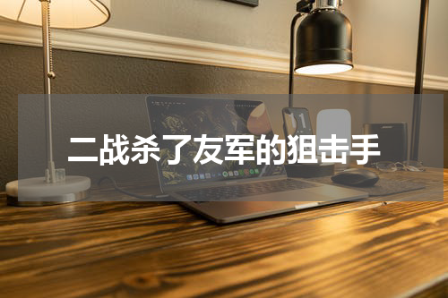 二战杀了友军的狙击手