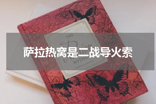 萨拉热窝是二战导火索