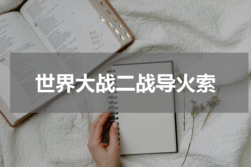 世界大战二战导火索