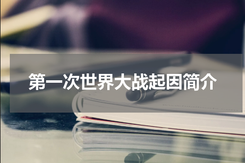 第一次世界大战起因简介