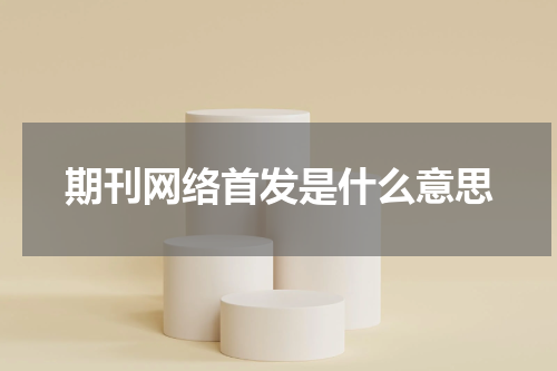 期刊网络首发是什么意思