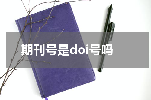 期刊号是doi号吗