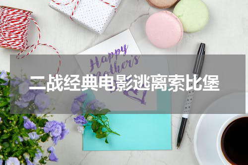 二战经典电影逃离索比堡