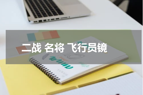 二战 名将 飞行员镜