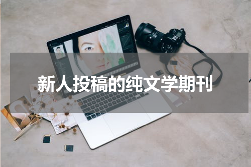 新人投稿的纯文学期刊