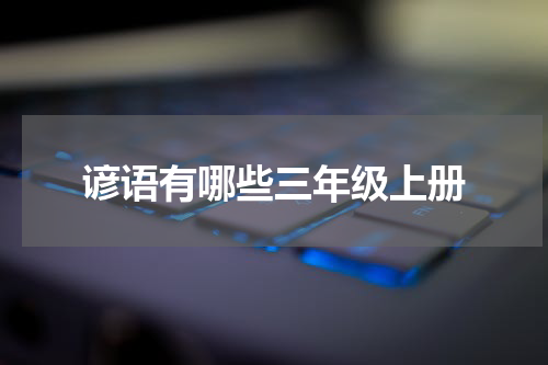 谚语有哪些三年级上册