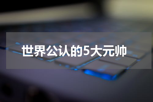 世界公认的5大元帅