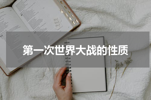 第一次世界大战的性质