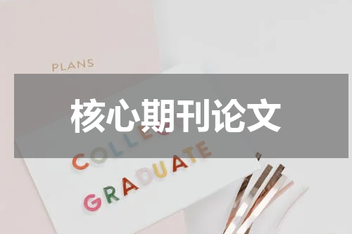 核心期刊论文