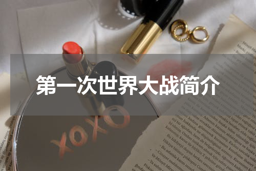 第一次世界大战简介