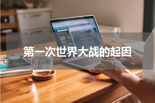 第一次世界大战的起因