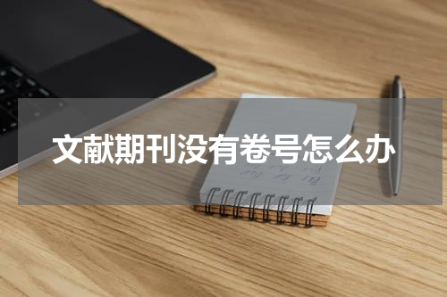 文献期刊没有卷号怎么办