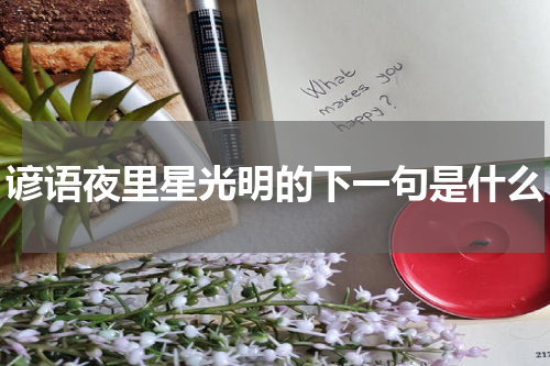 谚语夜里星光明的下一句是什么