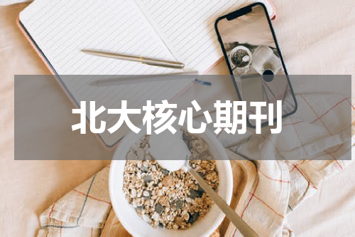 北大核心期刊