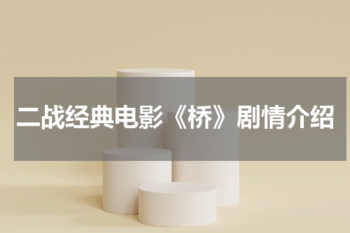二战经典电影《桥》剧情介绍