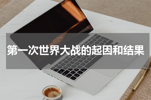 第一次世界大战的起因和结果