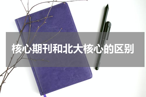 核心期刊和北大核心的区别