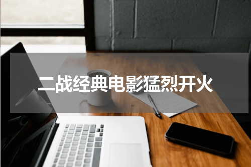 二战经典电影猛烈开火