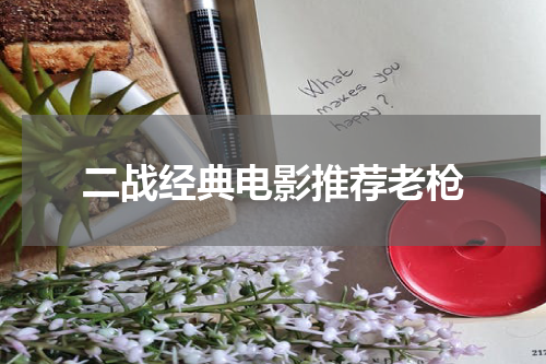 二战经典电影推荐老枪