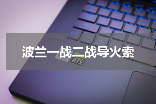 波兰一战二战导火索