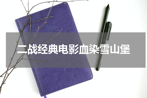 二战经典电影血染雪山堡